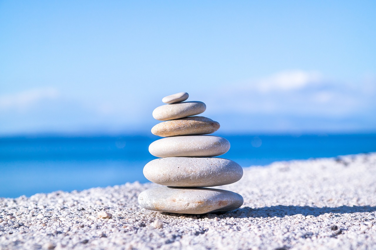 Philosophy of Mind - A Synopsis
